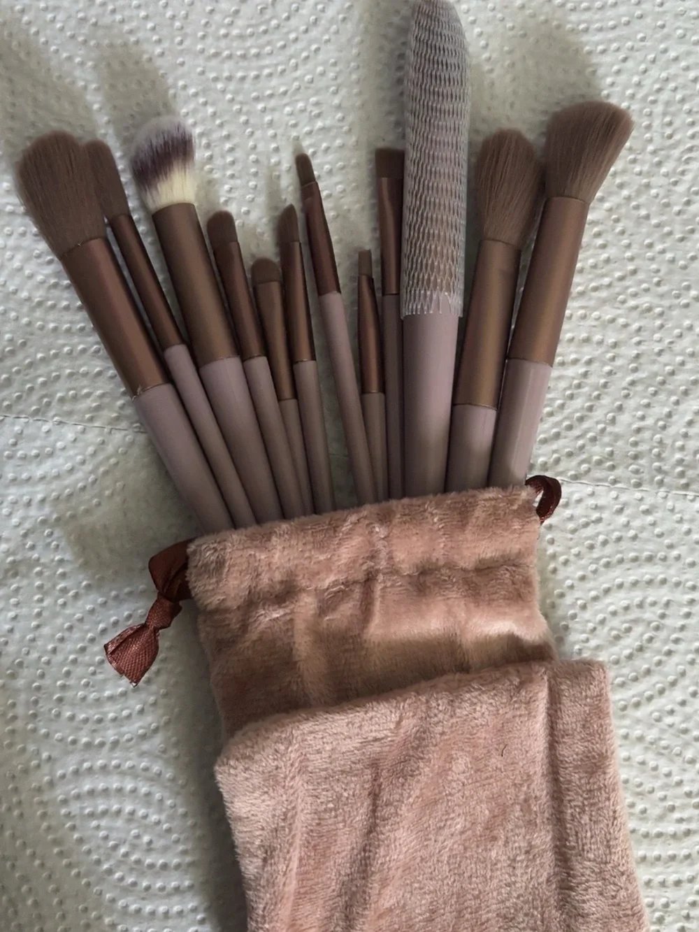 Accessorize Pink Makeup Brush Set with Plush Pouch